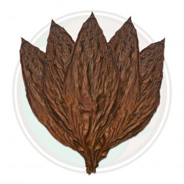 Connecticut Havana Tobacco Leaf Roll Your Own Cigar Fronto Whole Leaf Tobacco Leaf Only